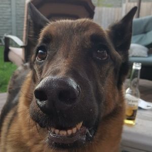 Meet your Posher, Lily